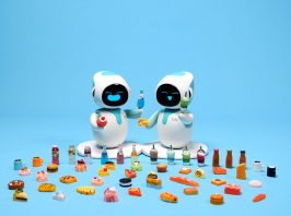 Eilik Robot Accessories